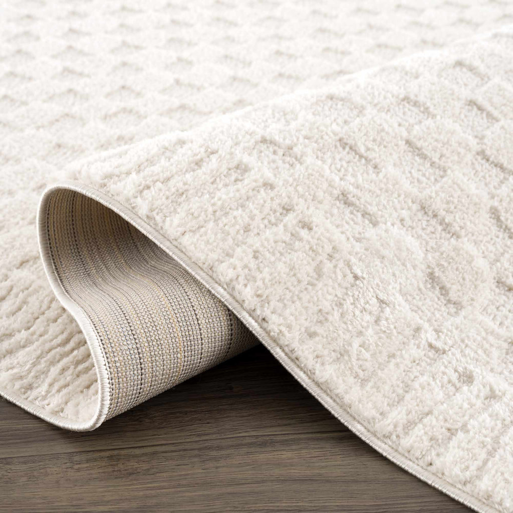 Leryn Ivory Checkered Area Rug – Boutique Rugs, view 6