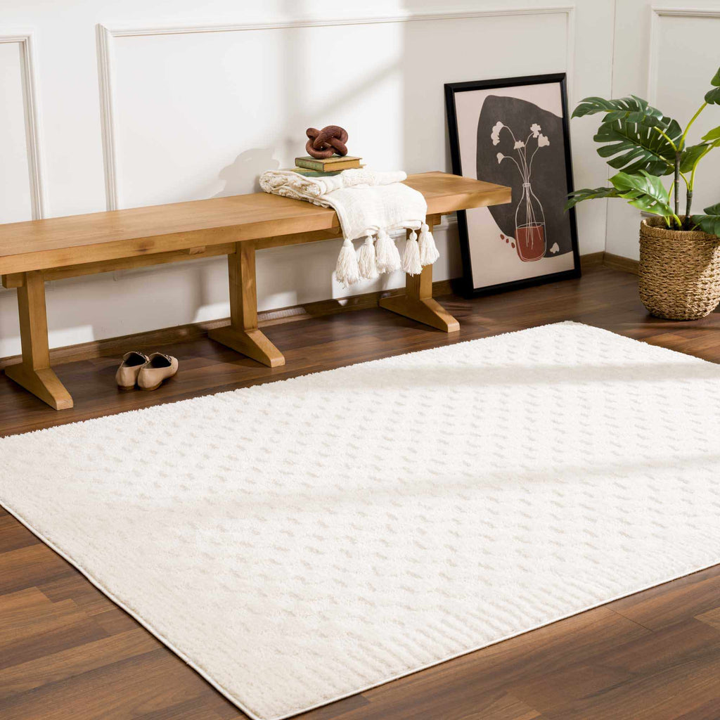 Leryn Ivory Checkered Area Rug – Boutique Rugs, view 15