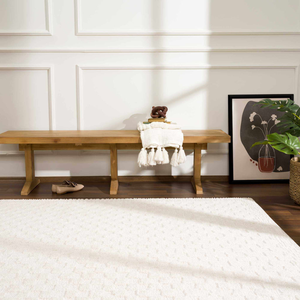 Leryn Ivory Checkered Area Rug – Boutique Rugs, view 4