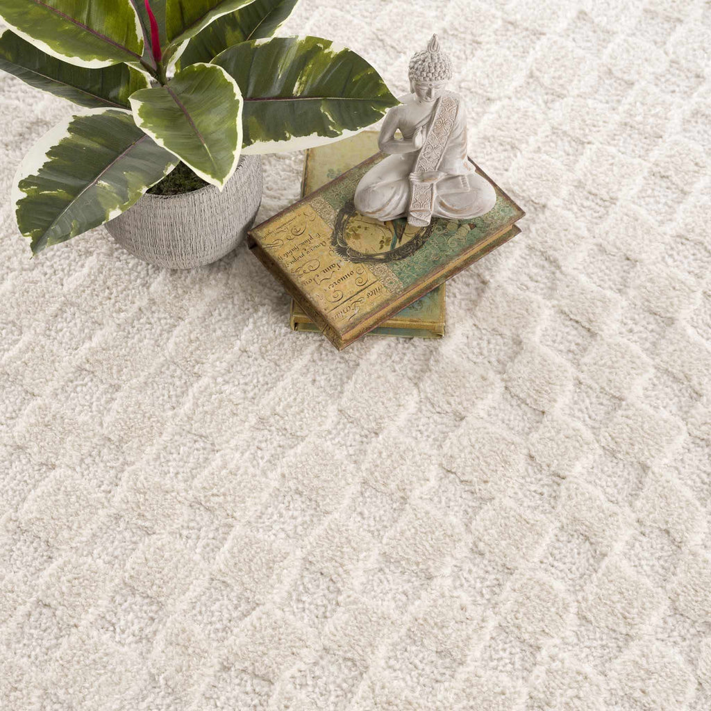 Leryn Ivory Checkered Area Rug – Boutique Rugs, view 11