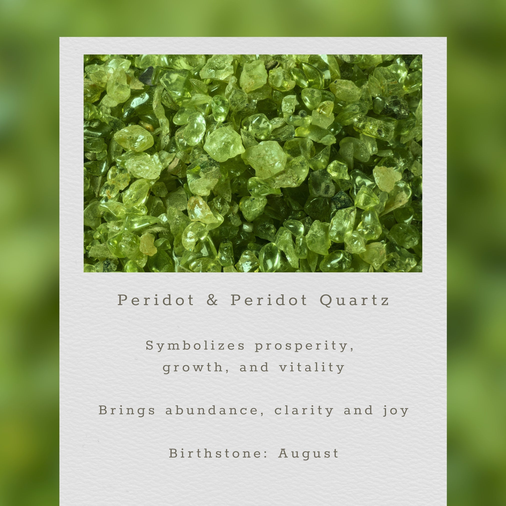 PARKEN JEWELRY Peridot Quartz Bala Earrings — back view