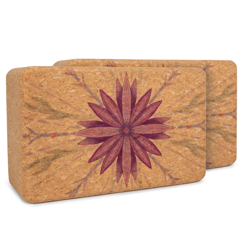 Artist Cork Yoga Block Set – Yoloha Yoga