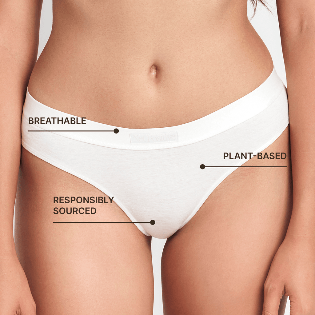 Net Positive Mid-Rise Brief — alternative angle