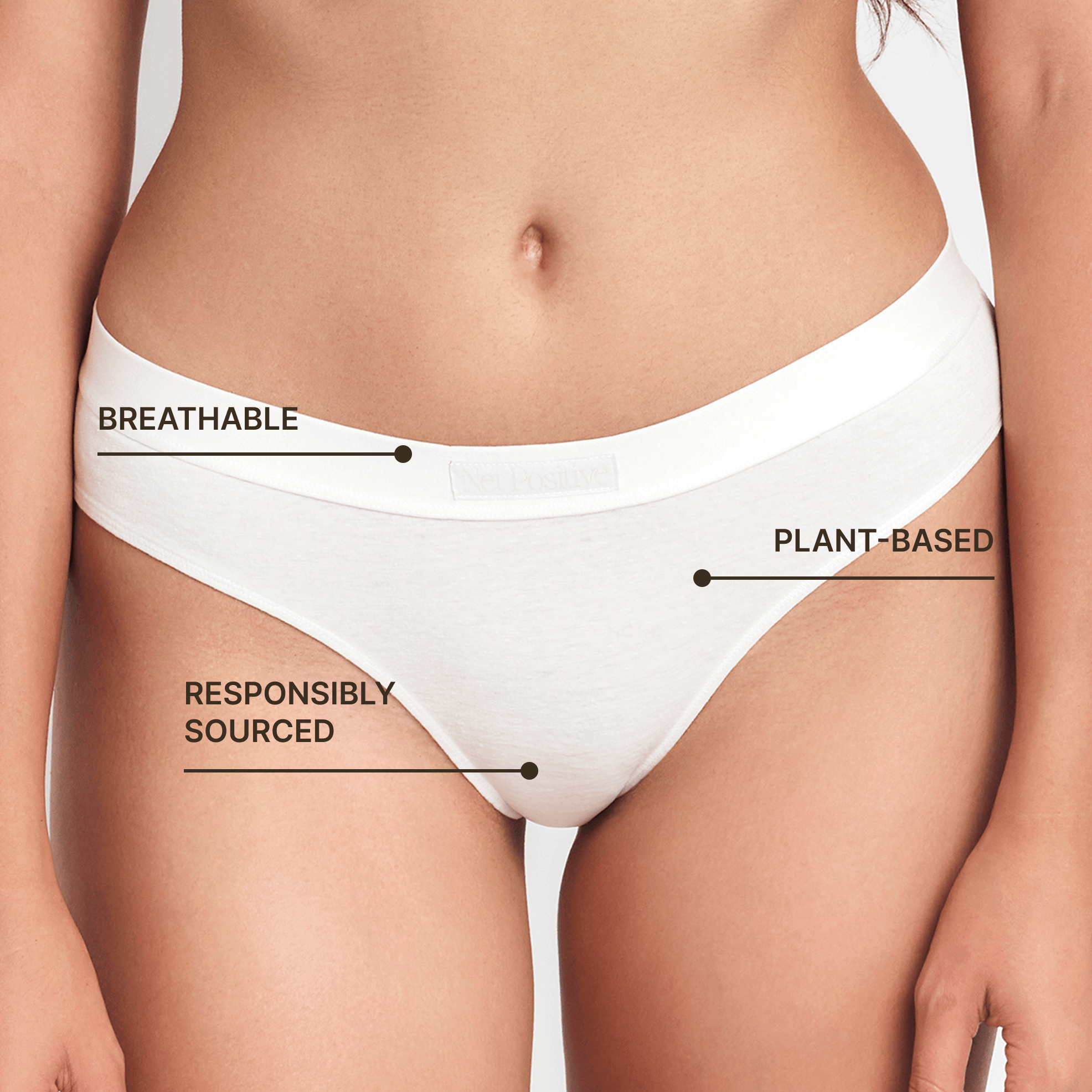 Net Positive Mid-Rise Brief — alternative angle