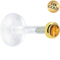 BodyCandy 16G 5/16 Solid 14K Yellow Gold 2mm Genuine Tiger Eye Bioplast Tragus Earring Stud — main product shot