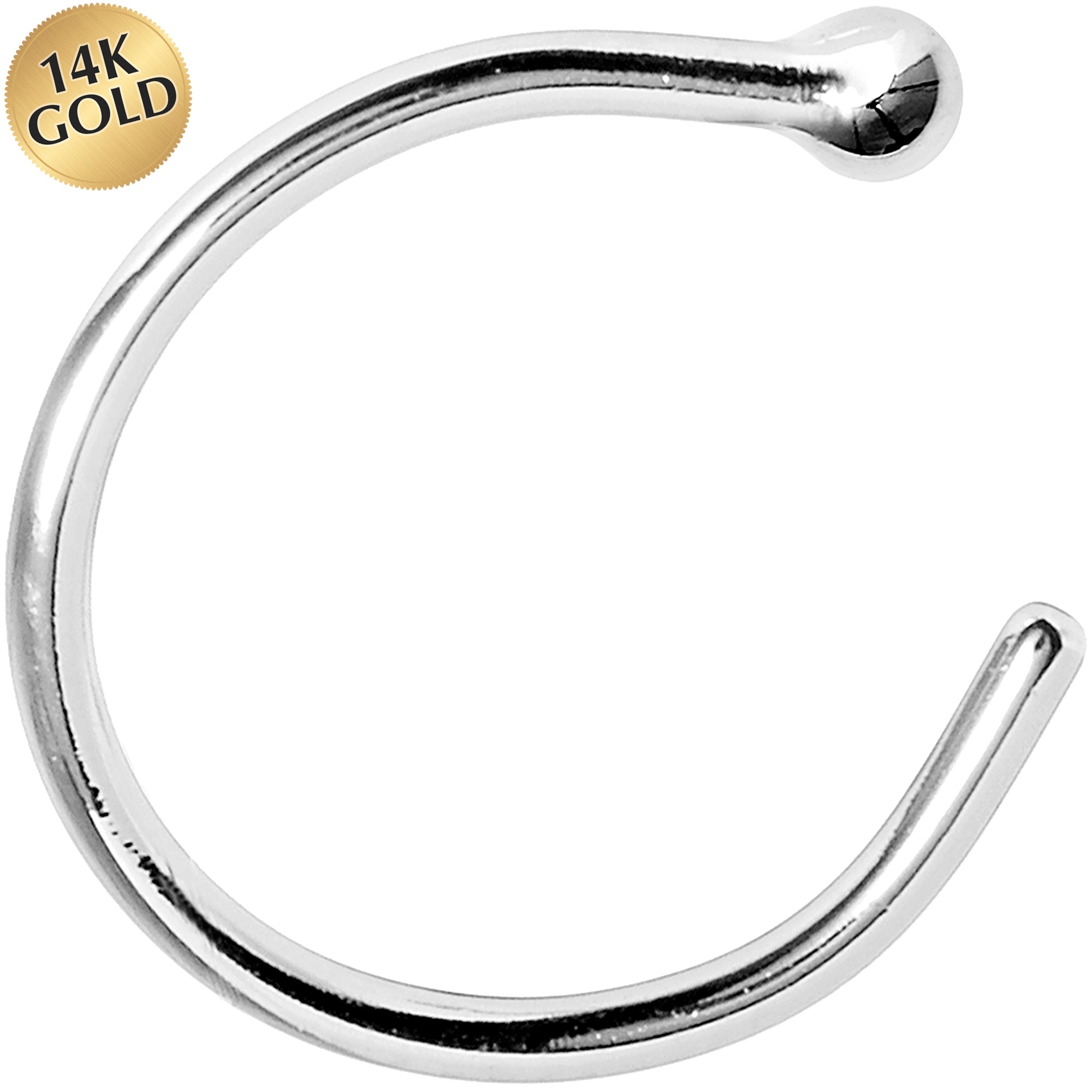 BodyCandy 20G 5/16 Solid 14K White Gold Nose Hoop — main product shot