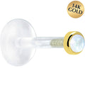 BodyCandy 16G 1/4 Solid 14K Yellow Gold 2mm Genuine Rainbow Moonstone Bioplast Tragus Earring Stud — main product shot
