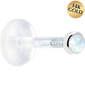 BodyCandy 16G 1/4 Solid 14K White Gold 2mm Genuine Rainbow Moonstone Bioplast Cartilage Earring Stud — main product shot