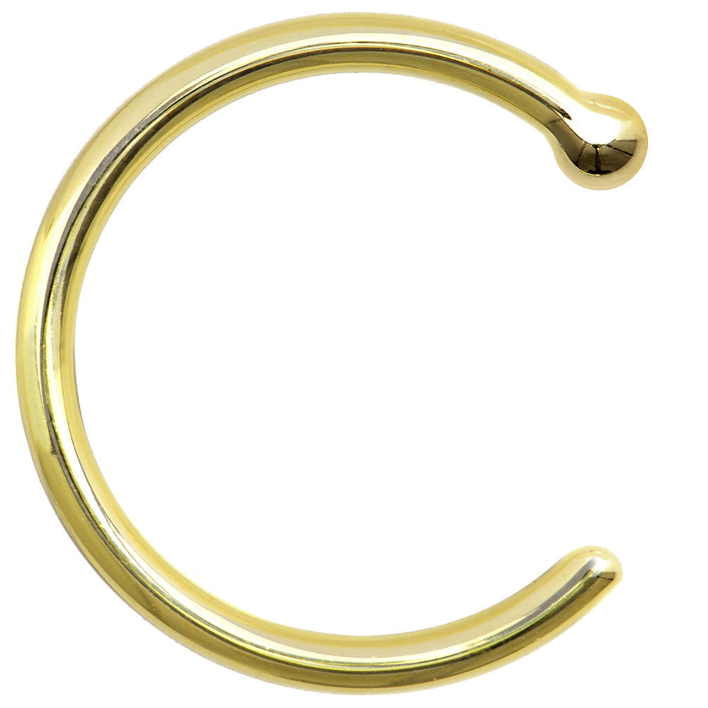 BodyCandy 18G 5/16 Solid 18K Yellow Gold Nose Hoop — lifestyle context