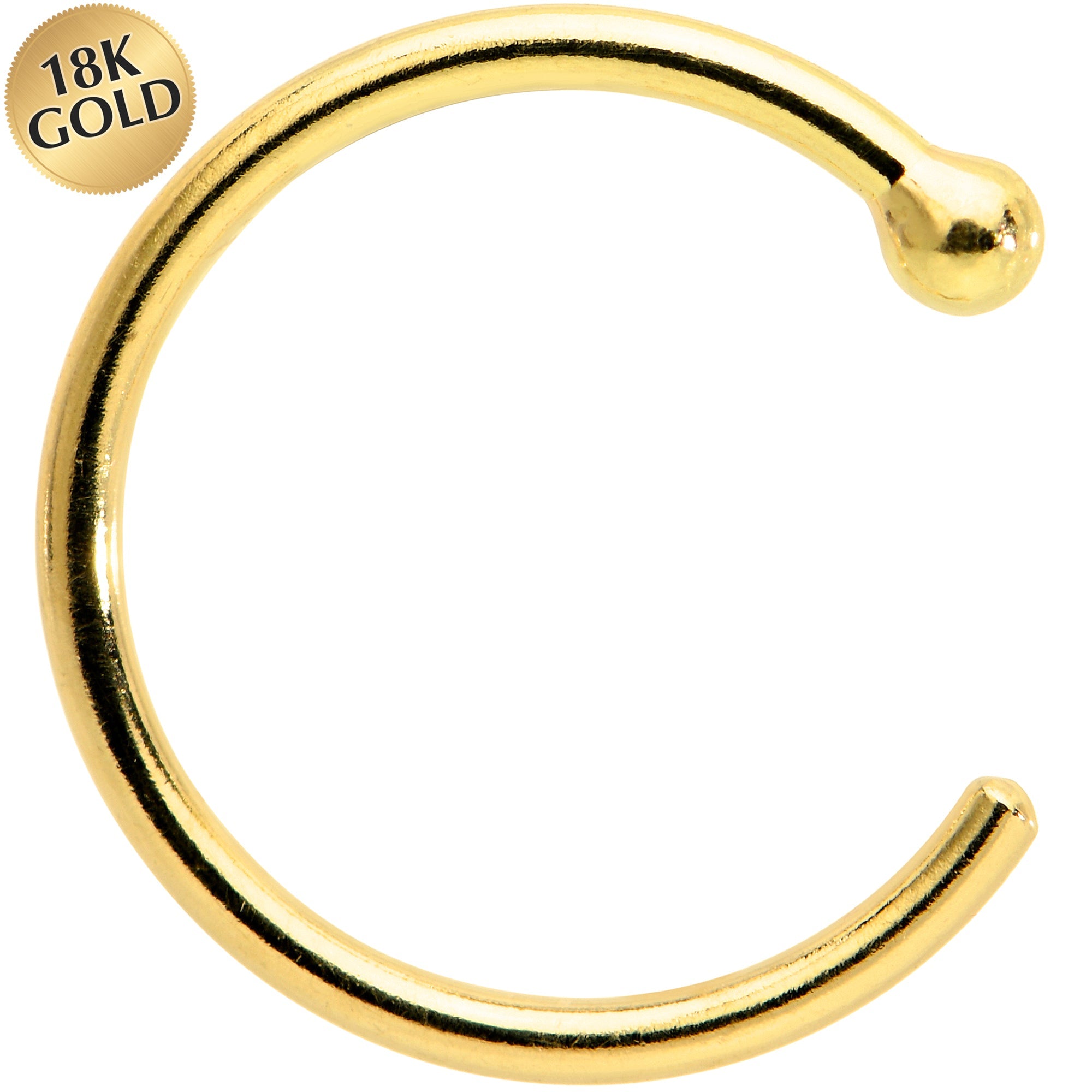 BodyCandy 20G 5/16 Solid 18K Yellow Gold Nose Hoop — lifestyle context