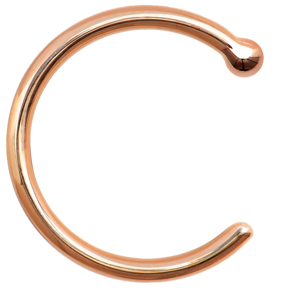 BodyCandy 18G 5/16 Solid 14K Rose Gold Nose Hoop — lifestyle context