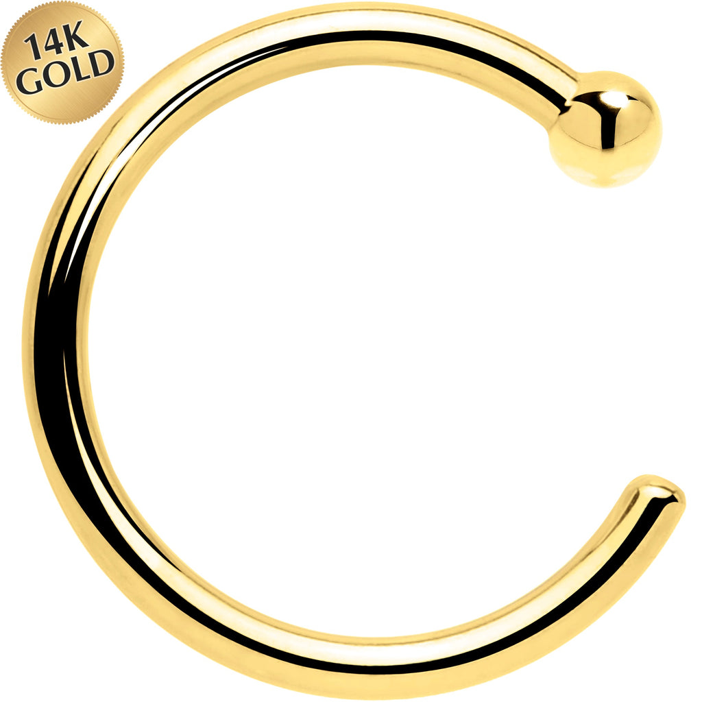BodyCandy 20G 1/4 14k Solid Yellow Gold Nose Hoop — main product shot