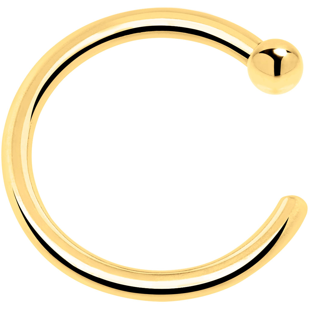 BodyCandy 20G 1/4 14k Solid Yellow Gold Nose Hoop — alternative angle