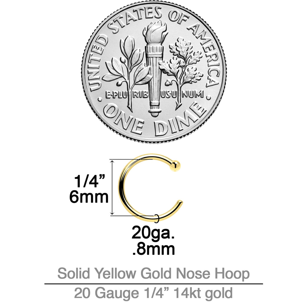 BodyCandy 20G 1/4 14k Solid Yellow Gold Nose Hoop — side view