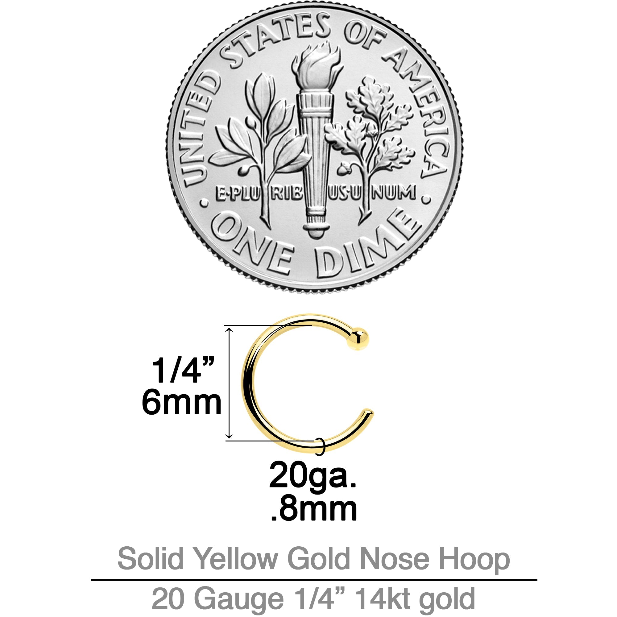 BodyCandy 20G 1/4 14k Solid Yellow Gold Nose Hoop — side view