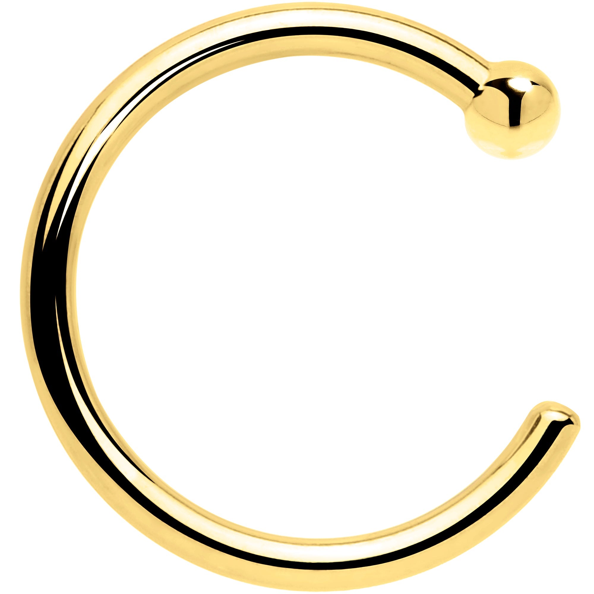 BodyCandy 20G 1/4 14k Solid Yellow Gold Nose Hoop — detail close-up