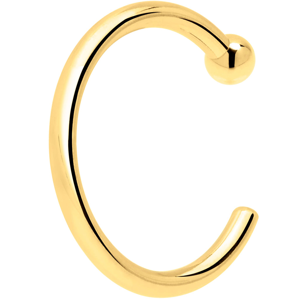 BodyCandy 20G 1/4 14k Solid Yellow Gold Nose Hoop — in-use photo