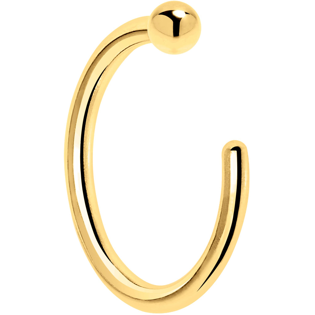 BodyCandy 20G 1/4 14k Solid Yellow Gold Nose Hoop — lifestyle context