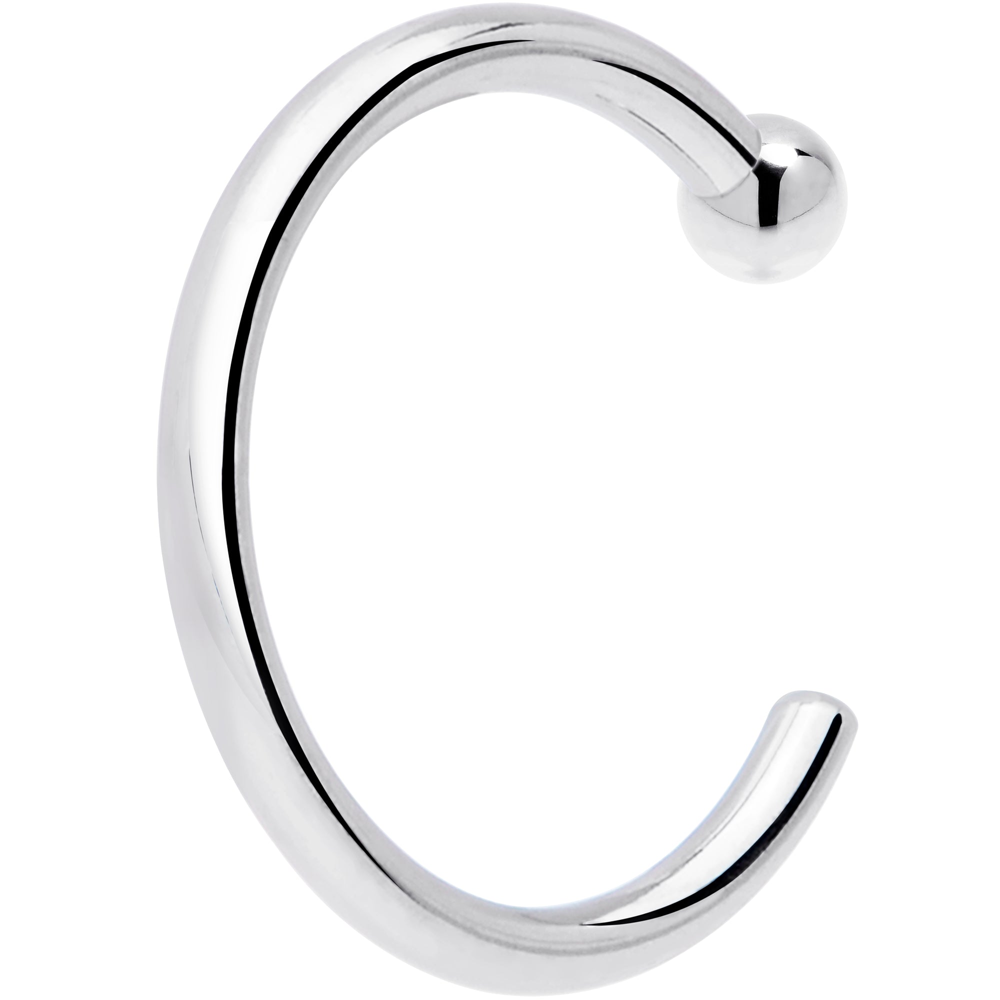 BodyCandy 20G 1/4 14k Solid White Gold Nose Hoop — lifestyle context