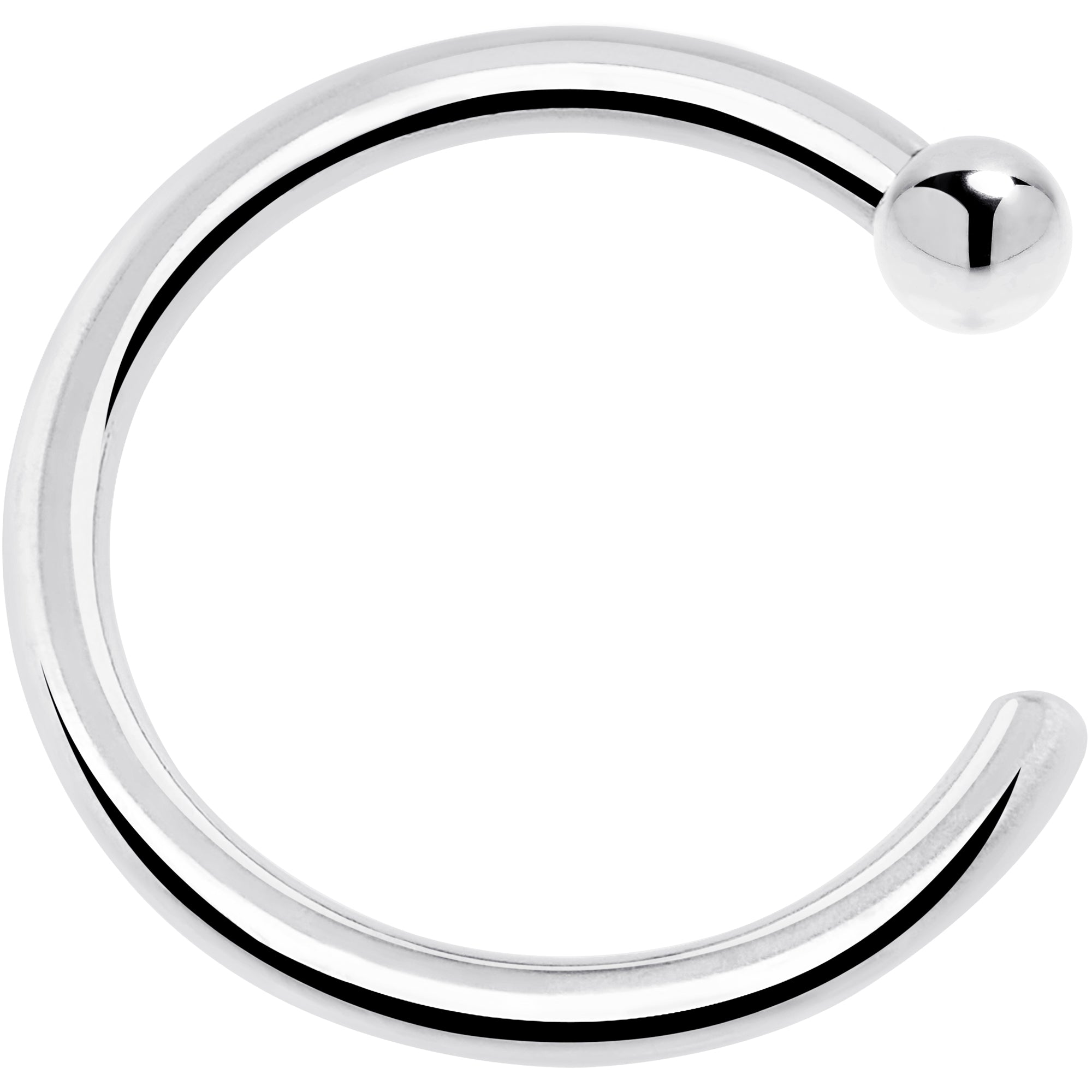 BodyCandy 20G 1/4 14k Solid White Gold Nose Hoop — back view