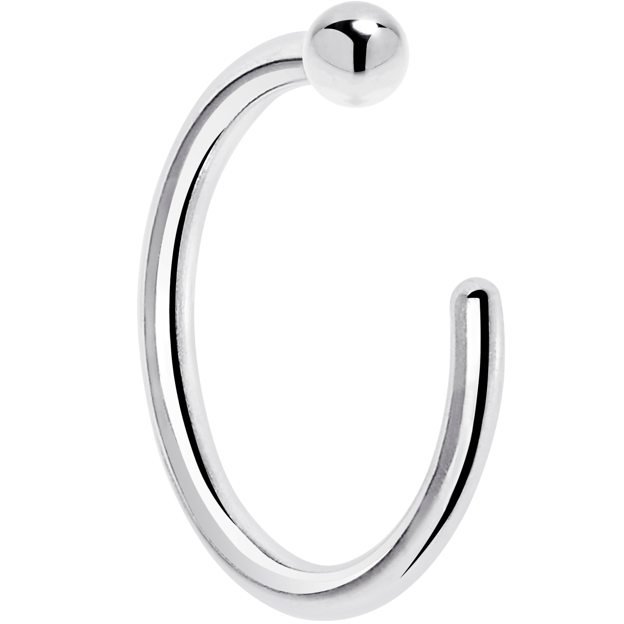 BodyCandy 20G 1/4 14k Solid White Gold Nose Hoop — alternative angle