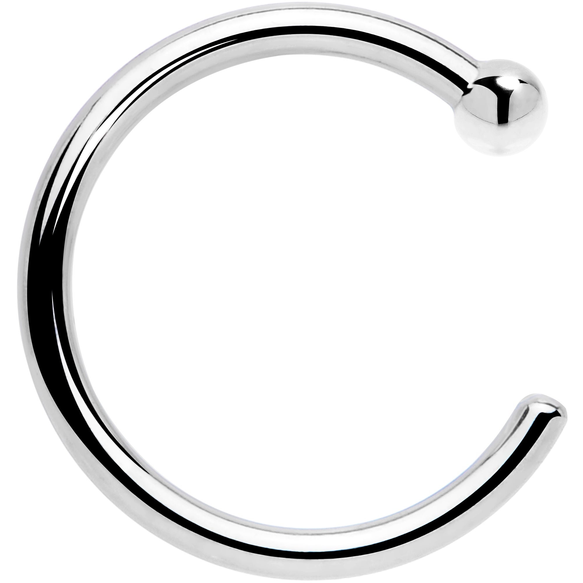 BodyCandy 20G 1/4 14k Solid White Gold Nose Hoop — in-use photo