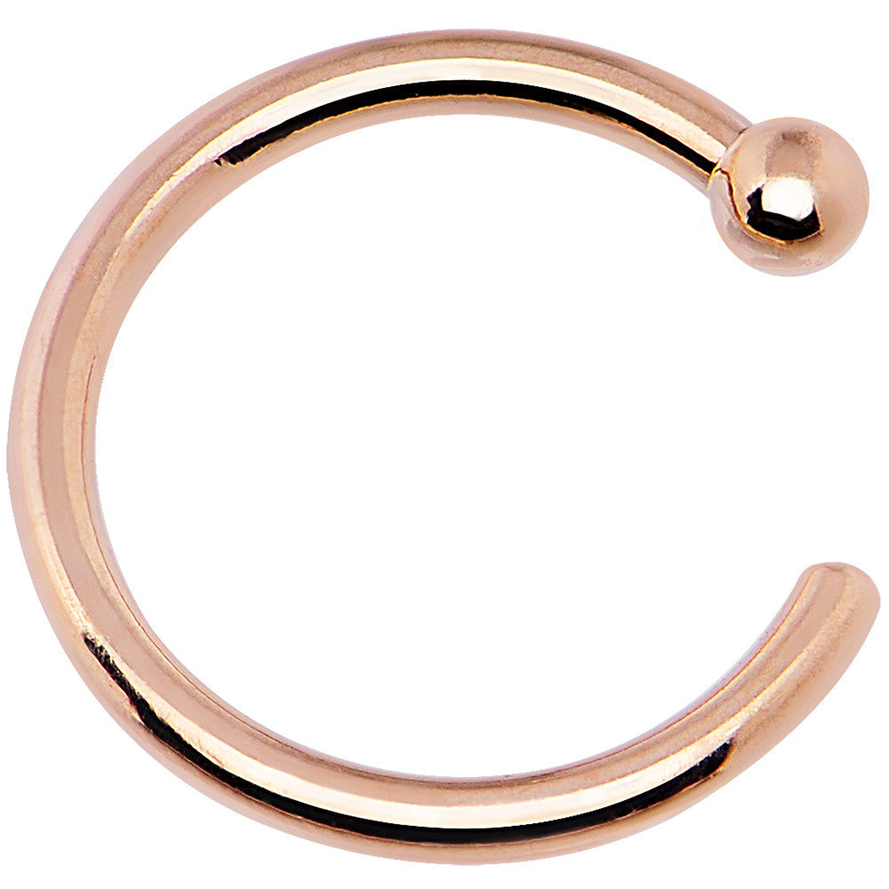 BodyCandy 20G 1/4 14k Solid Rose Gold Nose Hoop — detail close-up