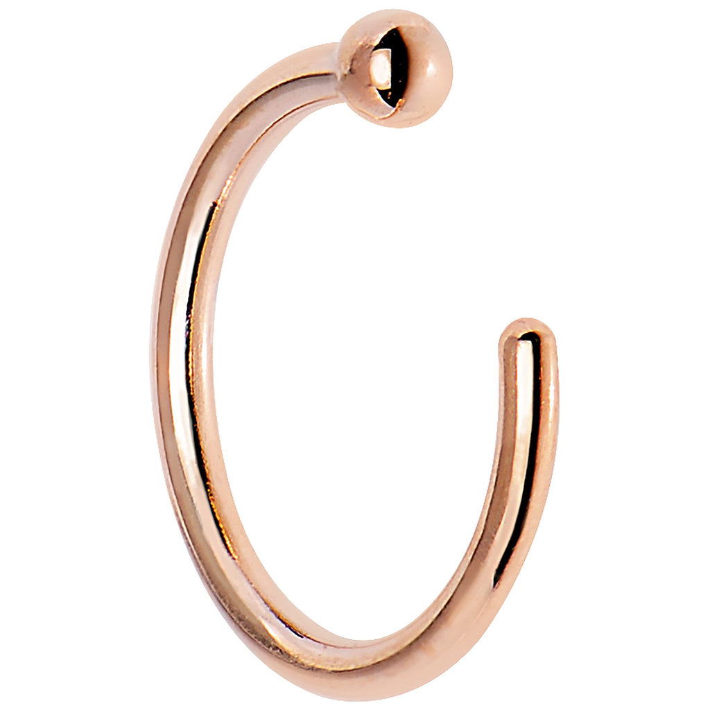 BodyCandy 20G 1/4 14k Solid Rose Gold Nose Hoop — lifestyle context
