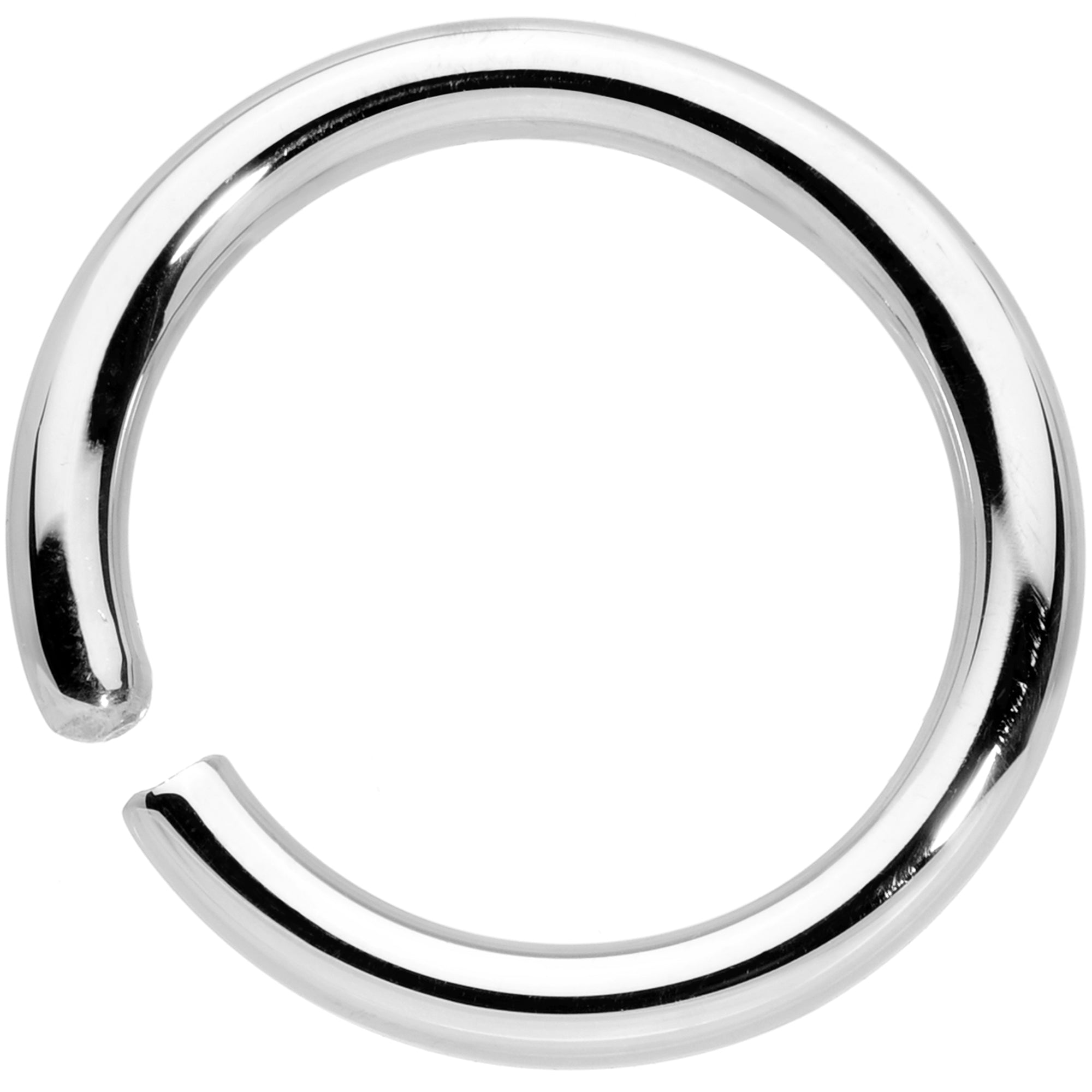 BodyCandy 14G 3/8 Handcrafted Solid 14k White Gold Seamless Circular Ring — side view