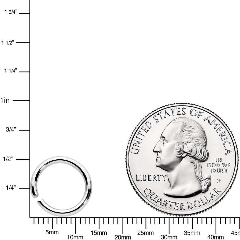 BodyCandy 14G 3/8 Handcrafted Solid 14k White Gold Seamless Circular Ring — detail close-up