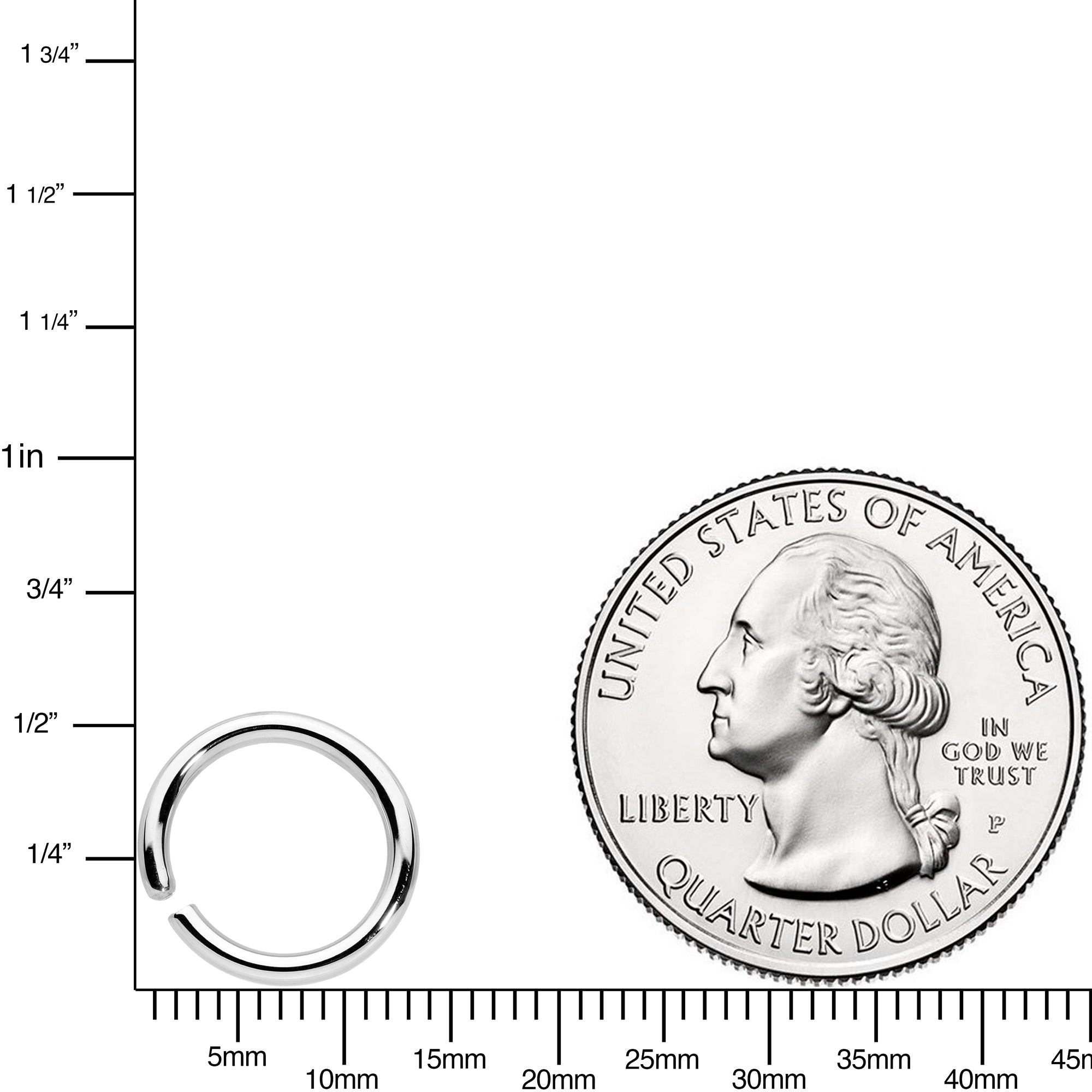 BodyCandy 14G 3/8 Handcrafted Solid 14k White Gold Seamless Circular Ring — detail close-up