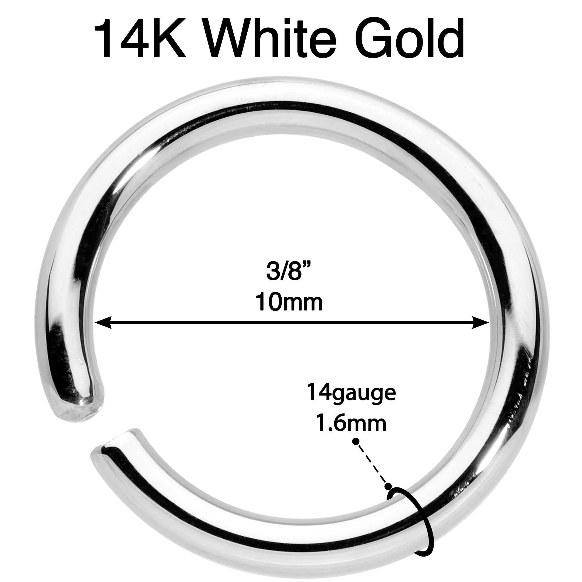 BodyCandy 14G 3/8 Handcrafted Solid 14k White Gold Seamless Circular Ring — lifestyle context