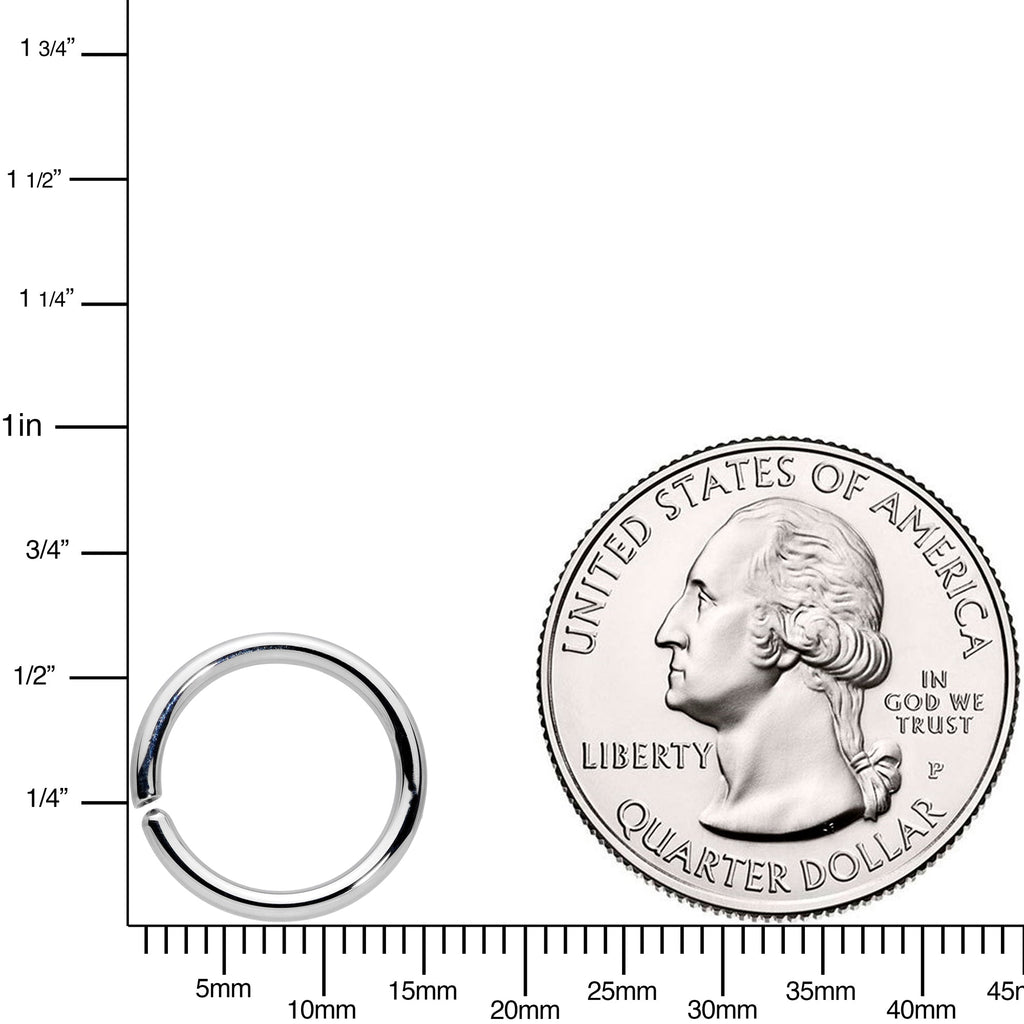 BodyCandy 14G 7/16 Handcrafted Solid 14k White Gold Seamless Circular Ring — detail close-up