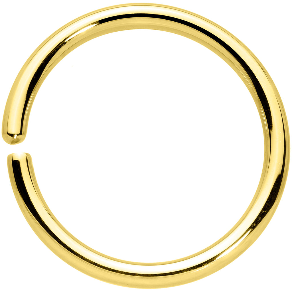 BodyCandy 14G 1/2 Handcrafted Solid 14k Yellow Gold Seamless Circular Ring — back view