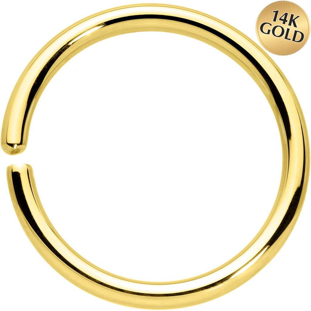 BodyCandy 14G 1/2 Handcrafted Solid 14k Yellow Gold Seamless Circular Ring — main product shot