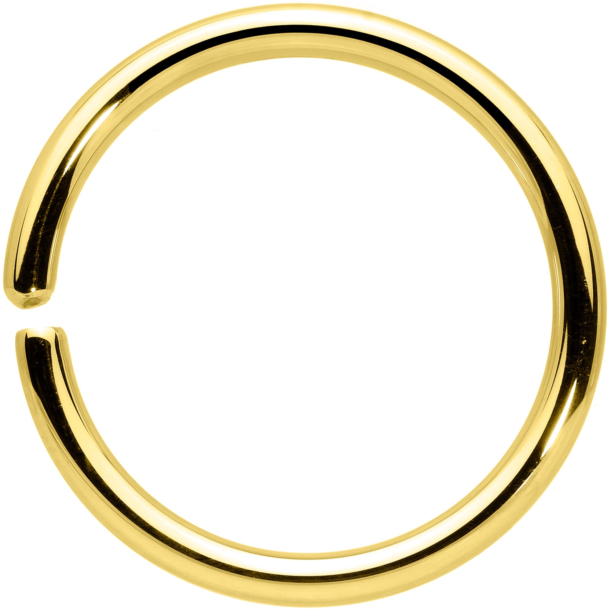 BodyCandy 14G 1/2 Handcrafted Solid 14k Yellow Gold Seamless Circular Ring — detail close-up