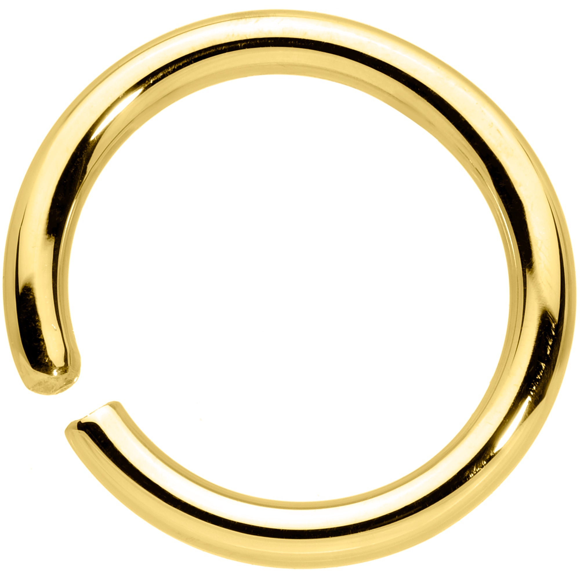 BodyCandy 14G 3/8 Handcrafted Solid 14k Yellow Gold Seamless Circular Ring — side view
