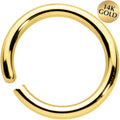 BodyCandy 14G 3/8 Handcrafted Solid 14k Yellow Gold Seamless Circular Ring — main product shot
