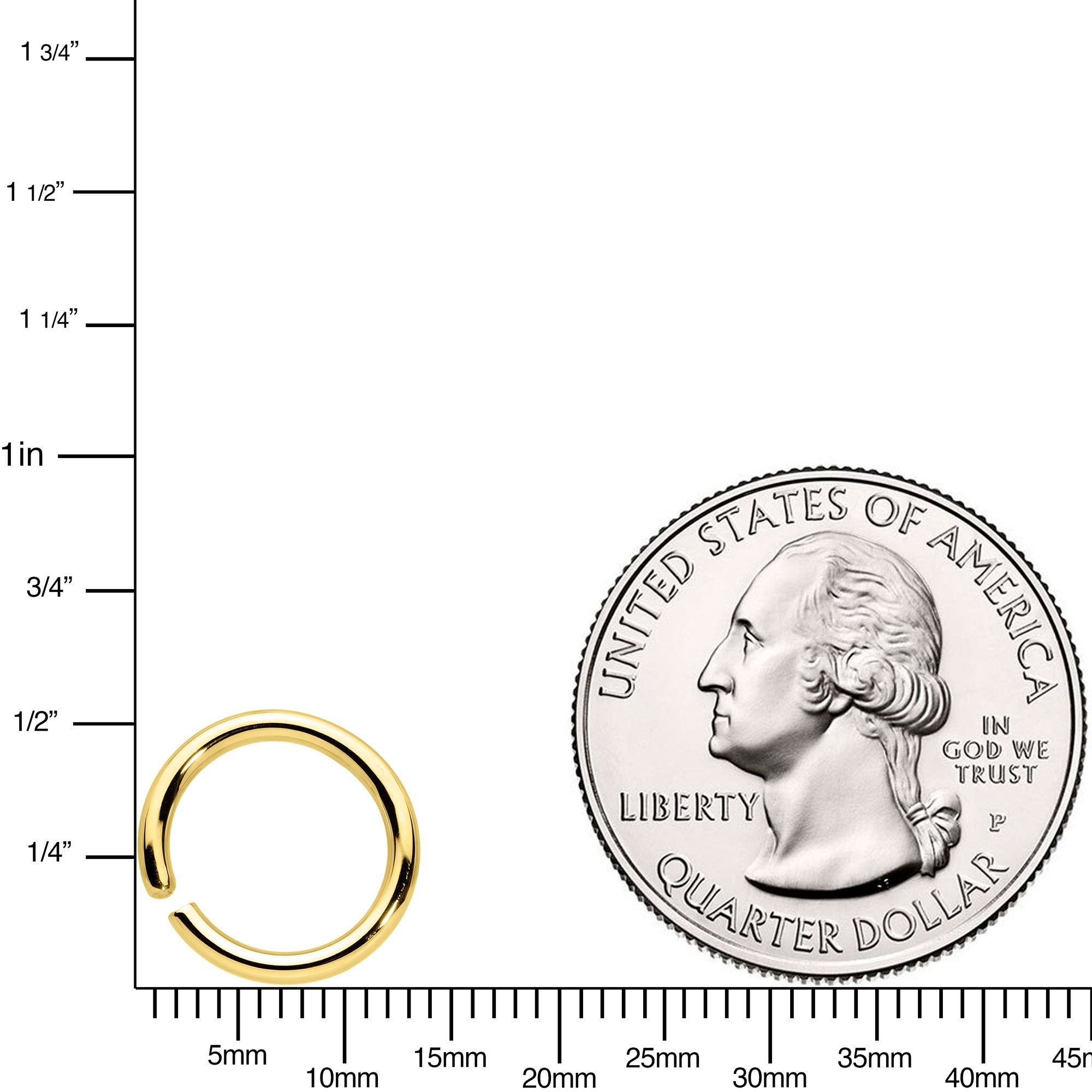 BodyCandy 14G 3/8 Handcrafted Solid 14k Yellow Gold Seamless Circular Ring — detail close-up