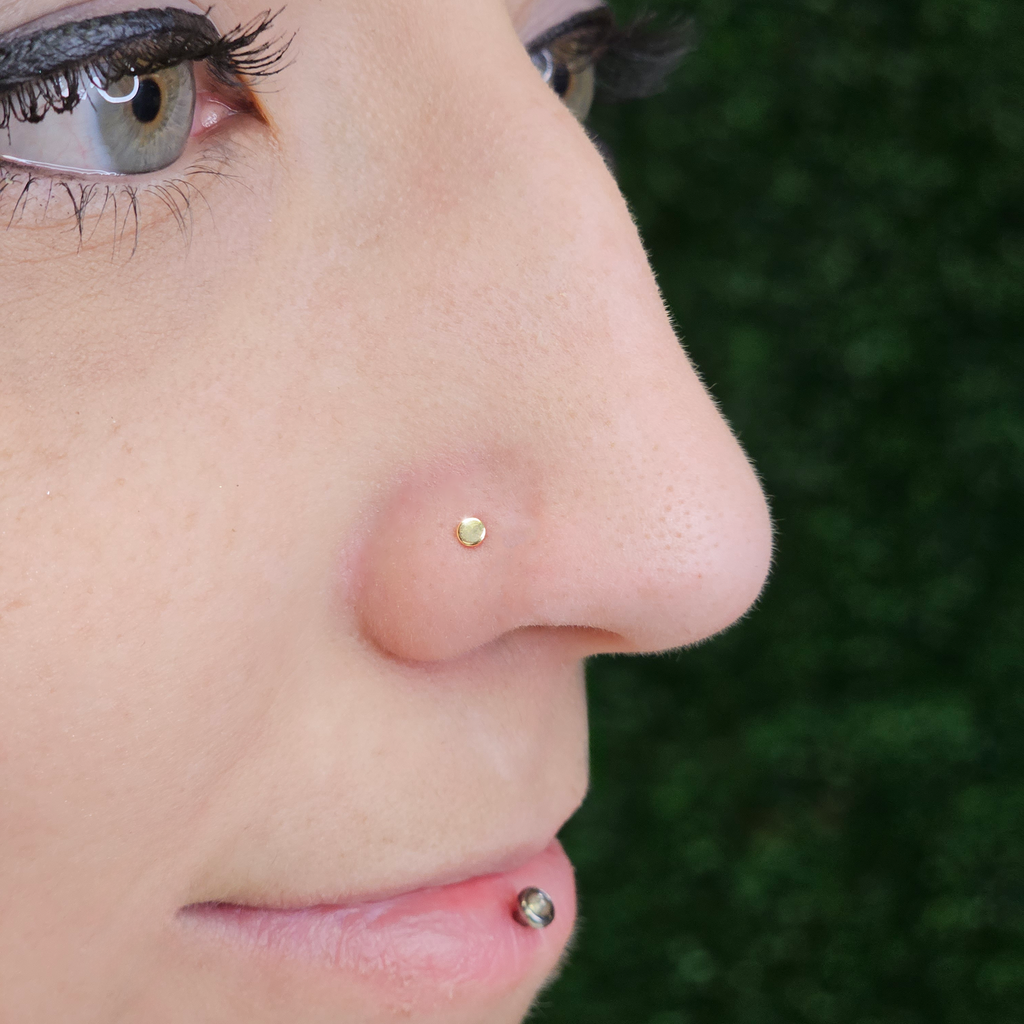 BodyCandy 20G Solid 14k Gold Flat Disc Nose Bone — detail close-up