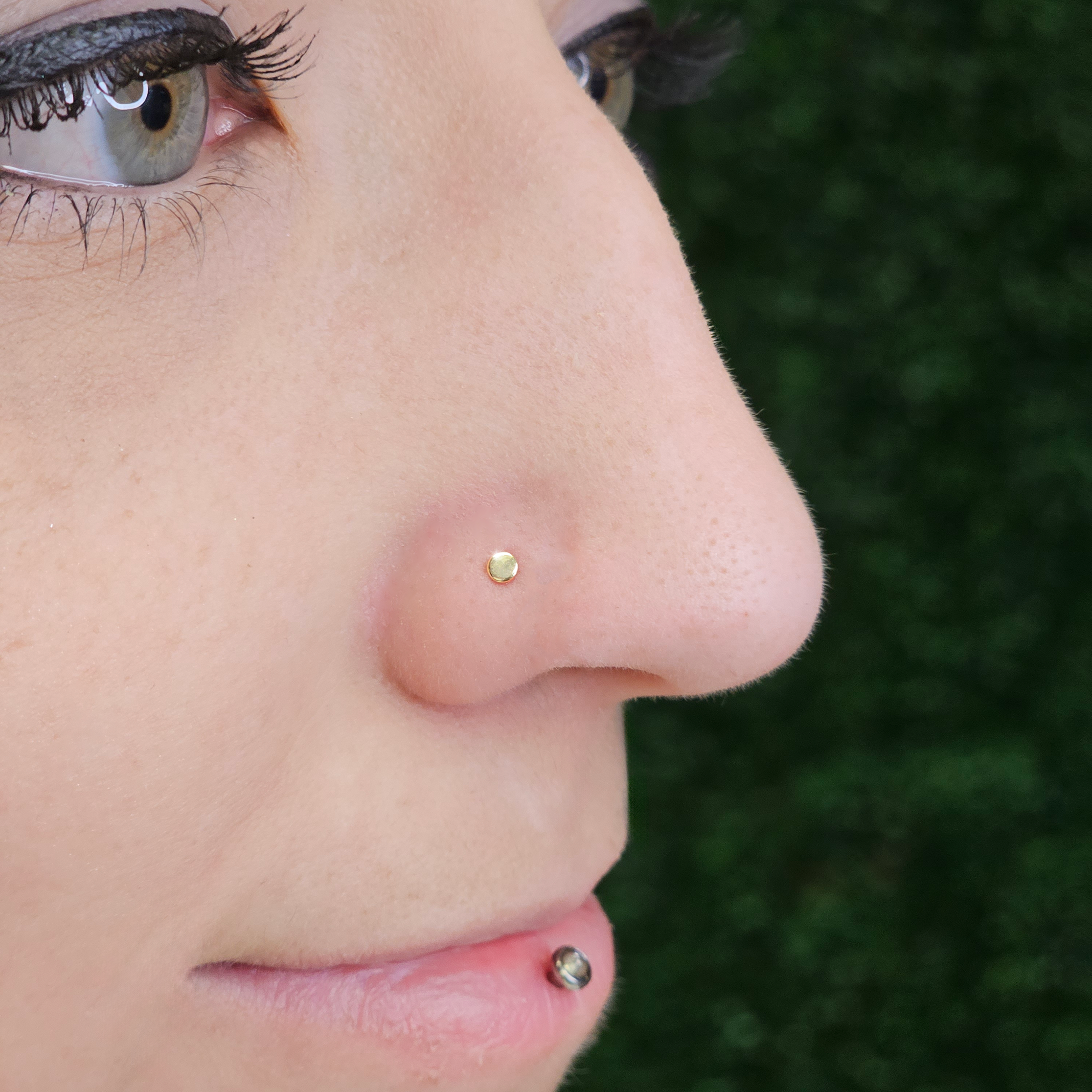 BodyCandy 20G Solid 14k Gold Flat Disc Nose Bone — detail close-up
