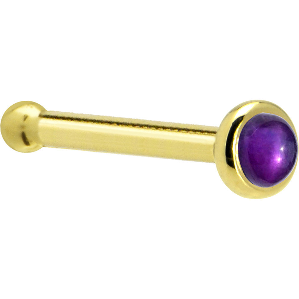 BodyCandy Solid 14K Yellow Gold 2mm Genuine Amethyst Nose Ring — lifestyle context