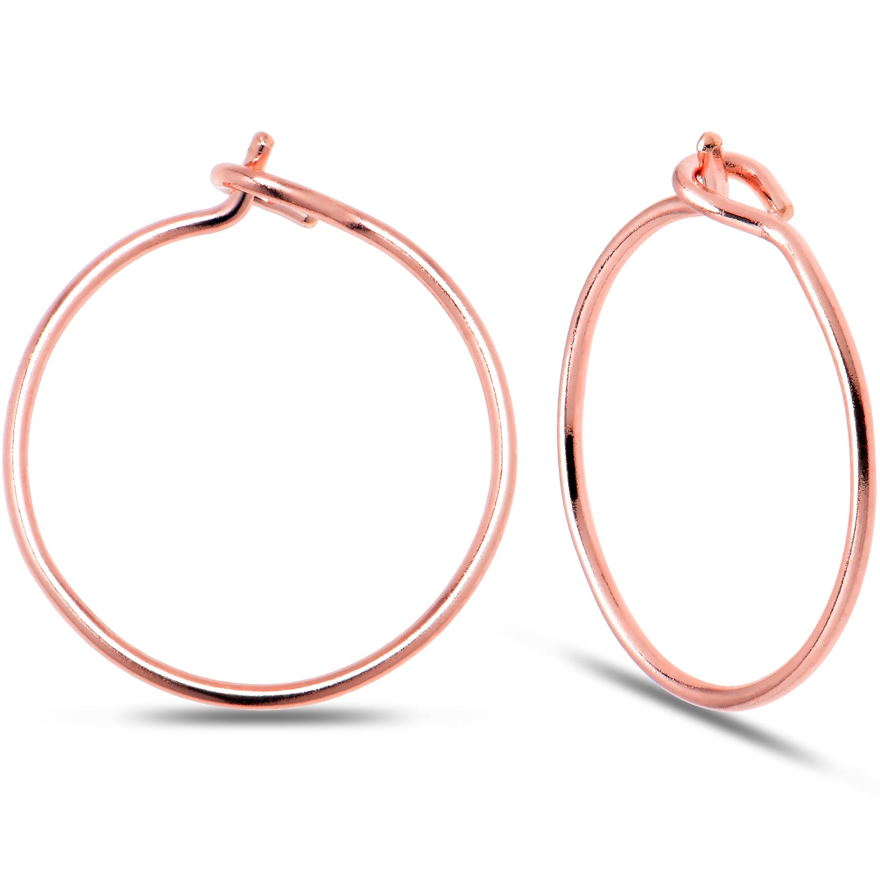 BodyCandy Earrings
