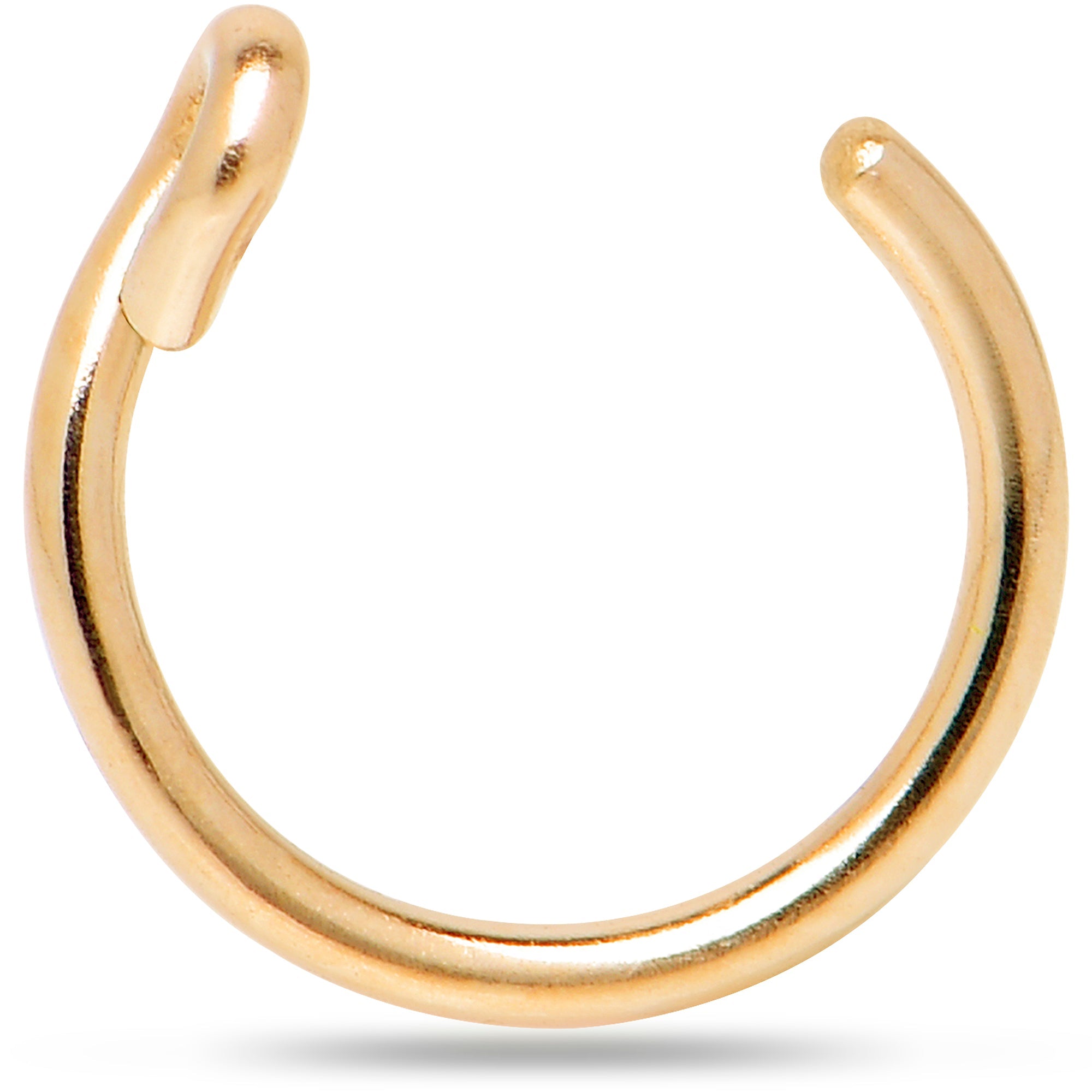 BodyCandy 14k Yellow Gold Filled Fake Nose Ring — detail close-up