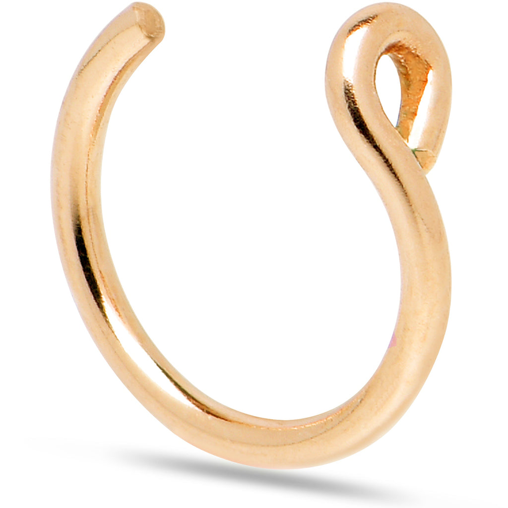 BodyCandy 14k Yellow Gold Filled Fake Nose Ring — lifestyle context