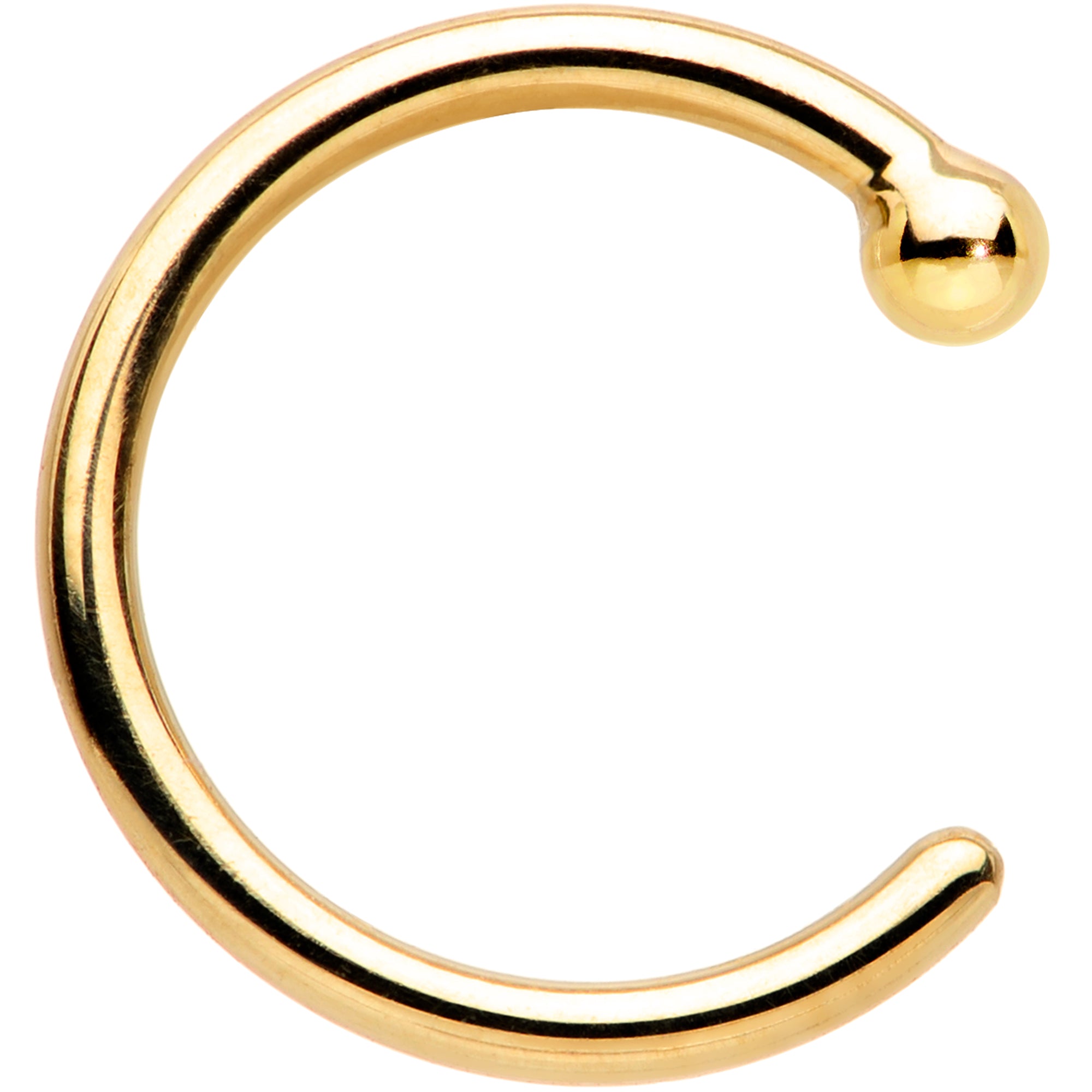 BodyCandy 20G 1/4 18k Yellow Gold Nose Hoop — detail close-up
