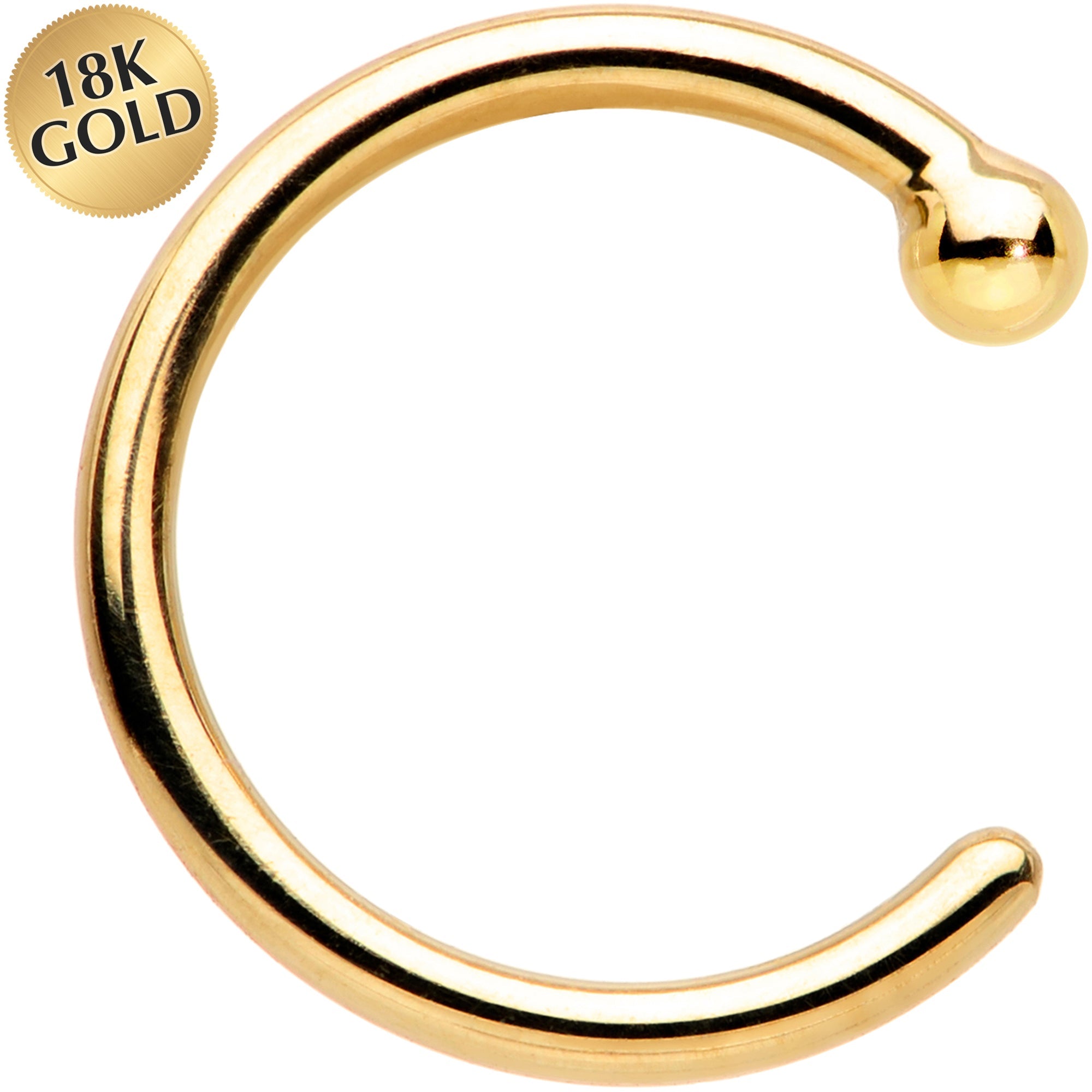 BodyCandy 20G 1/4 18k Yellow Gold Nose Hoop — main product shot