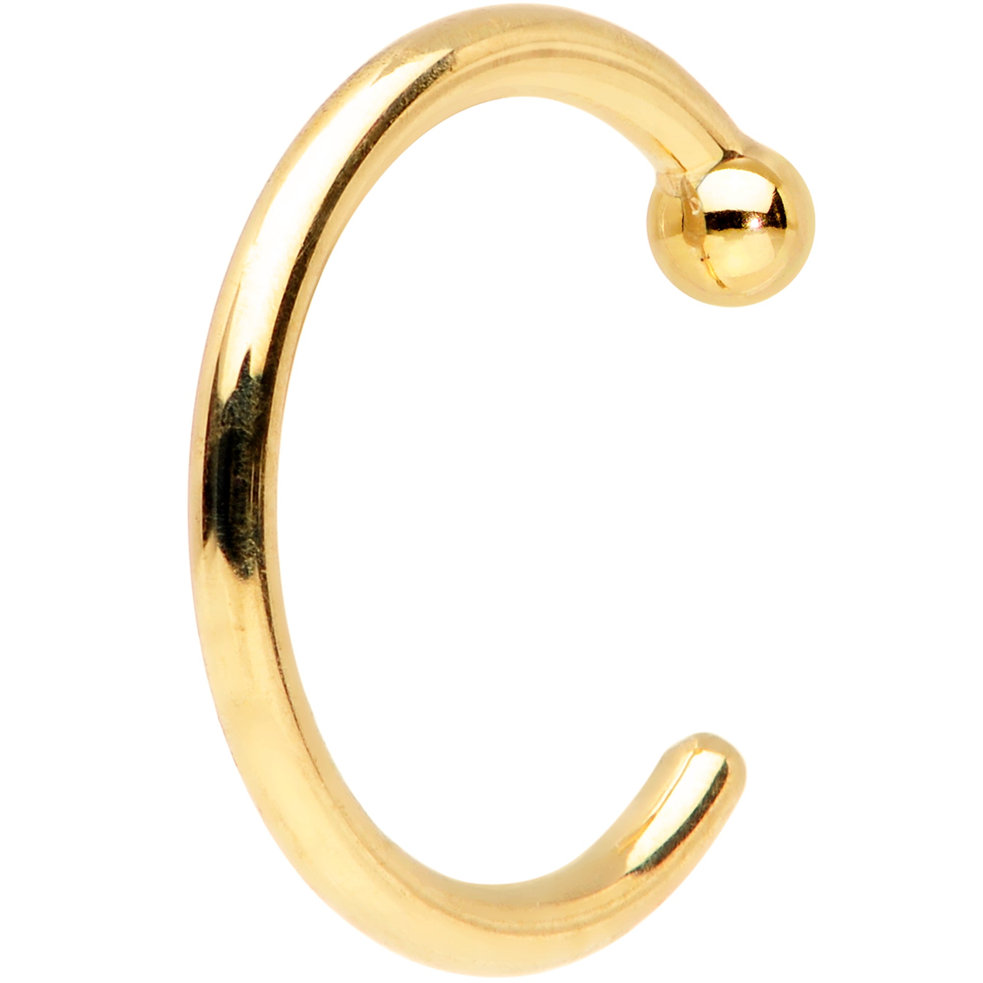 BodyCandy 20G 1/4 18k Yellow Gold Nose Hoop — lifestyle context
