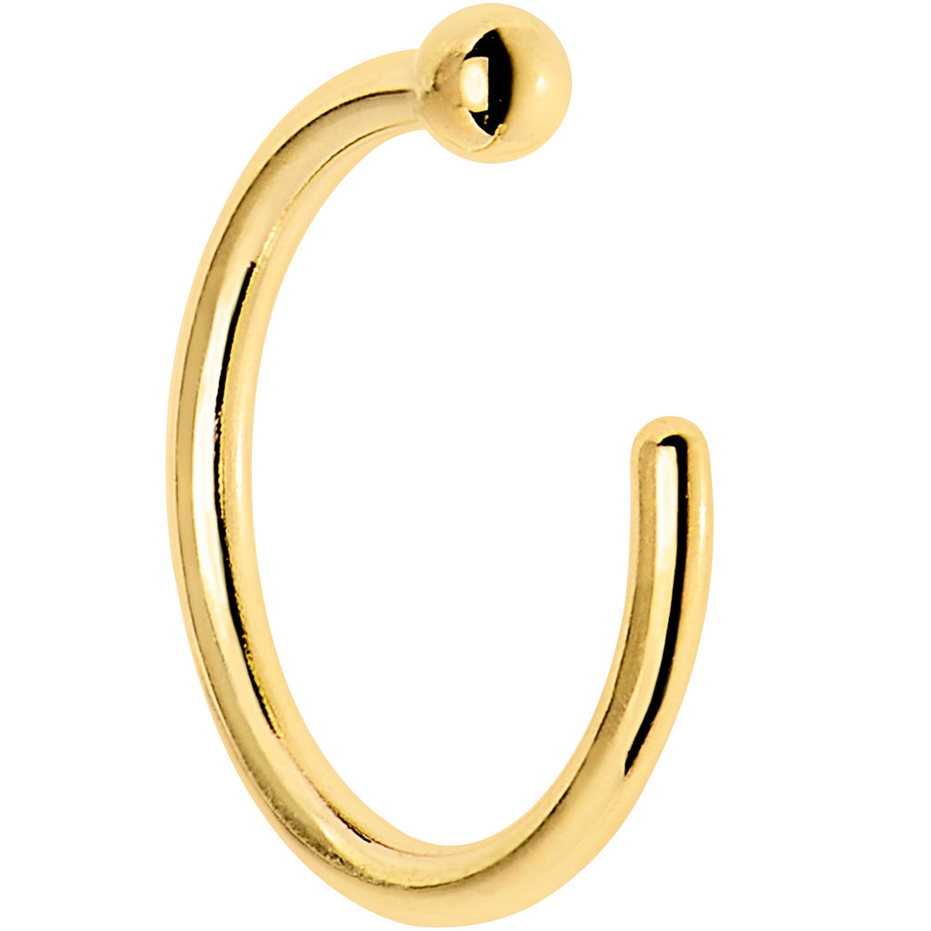 BodyCandy 20G 1/4 18k Yellow Gold Nose Hoop — side view