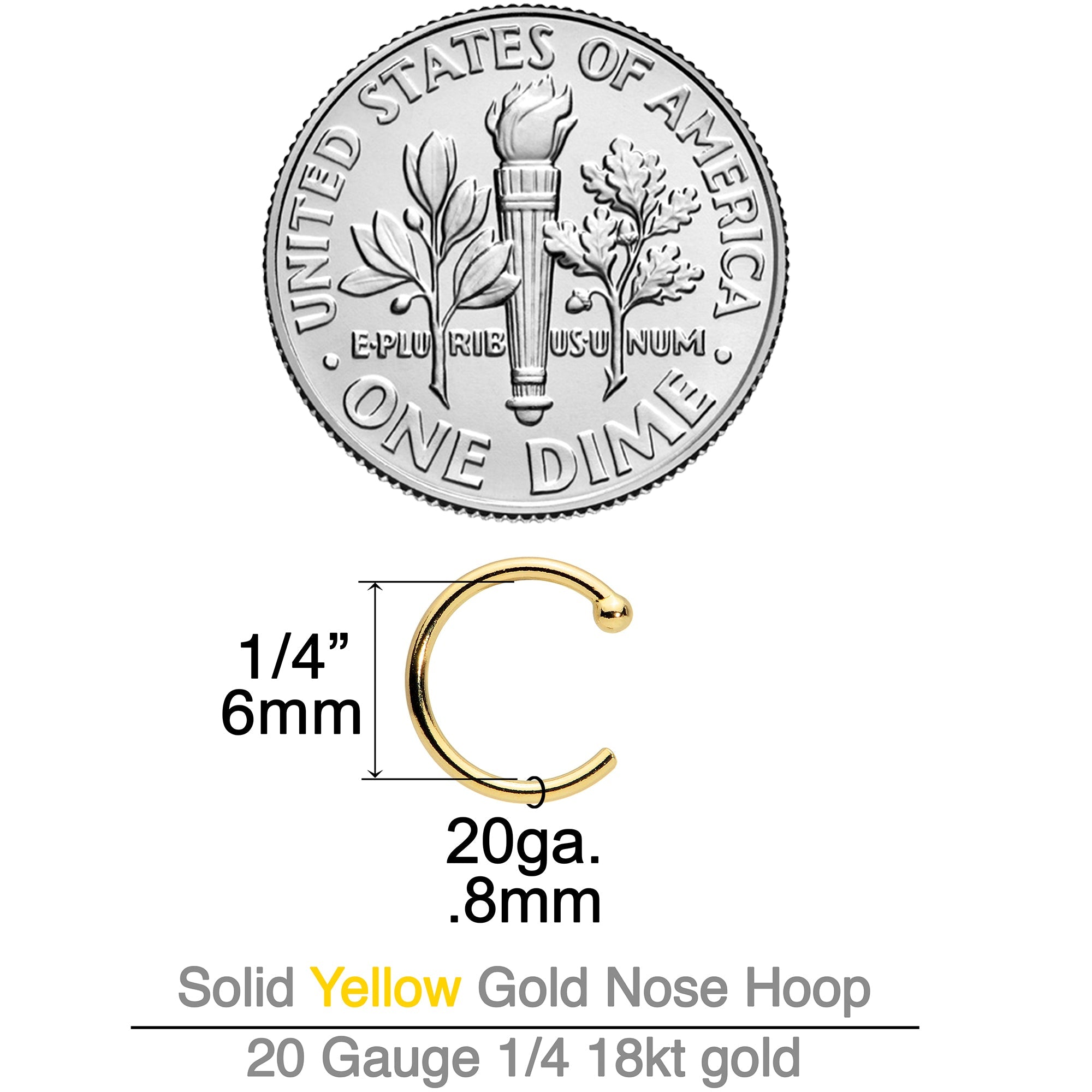 BodyCandy 20G 1/4 18k Yellow Gold Nose Hoop — back view